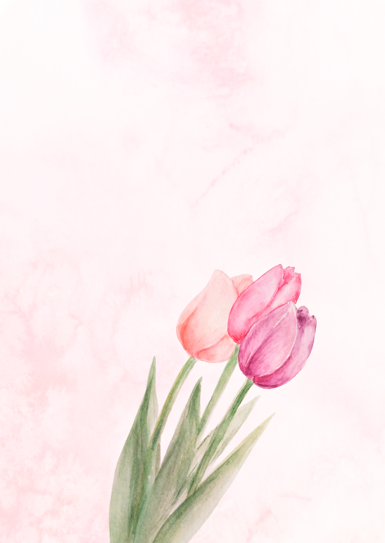 Tulips Watercolor